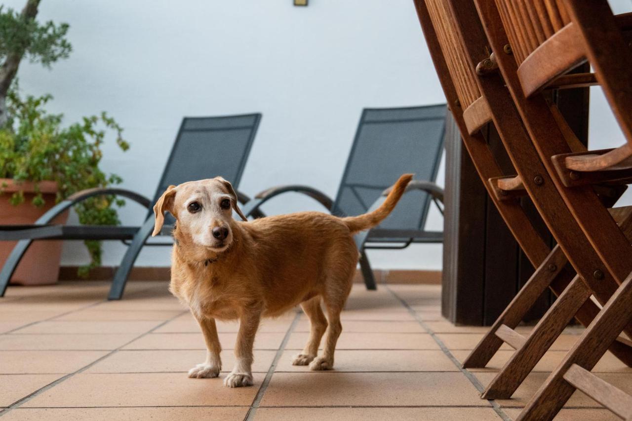 "Charm & Cozy 4Br - 3Ba With Pool & Barbecue" Villa Cambrils Ngoại thất bức ảnh